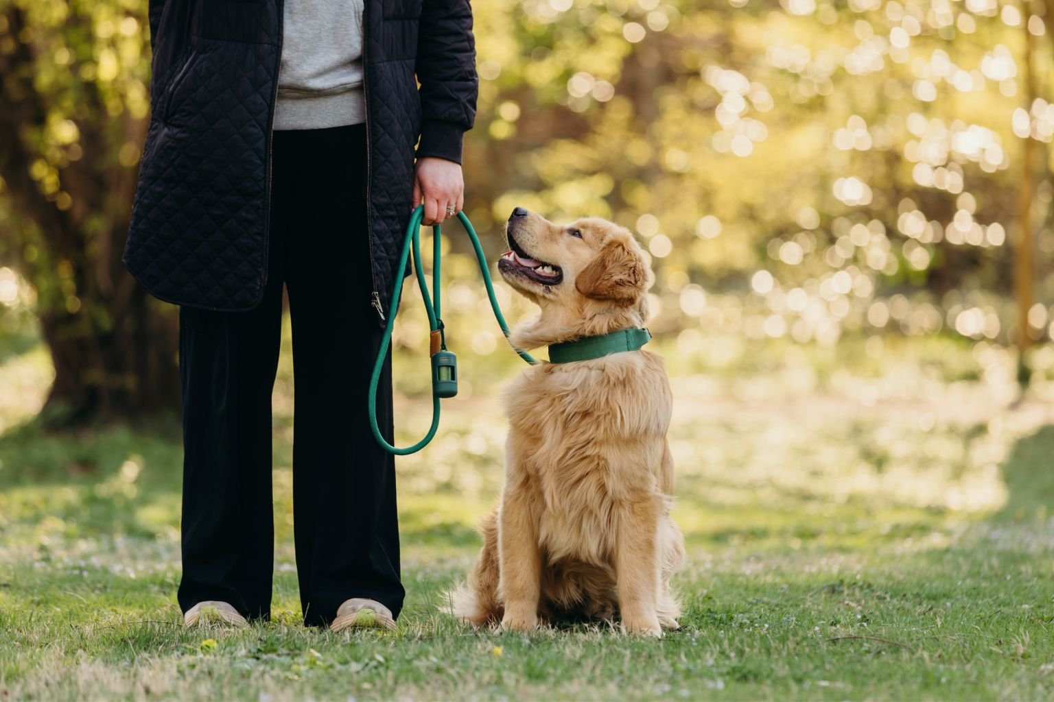 Dog trainer using healthy dog training treats outdoors with a golden retriever.