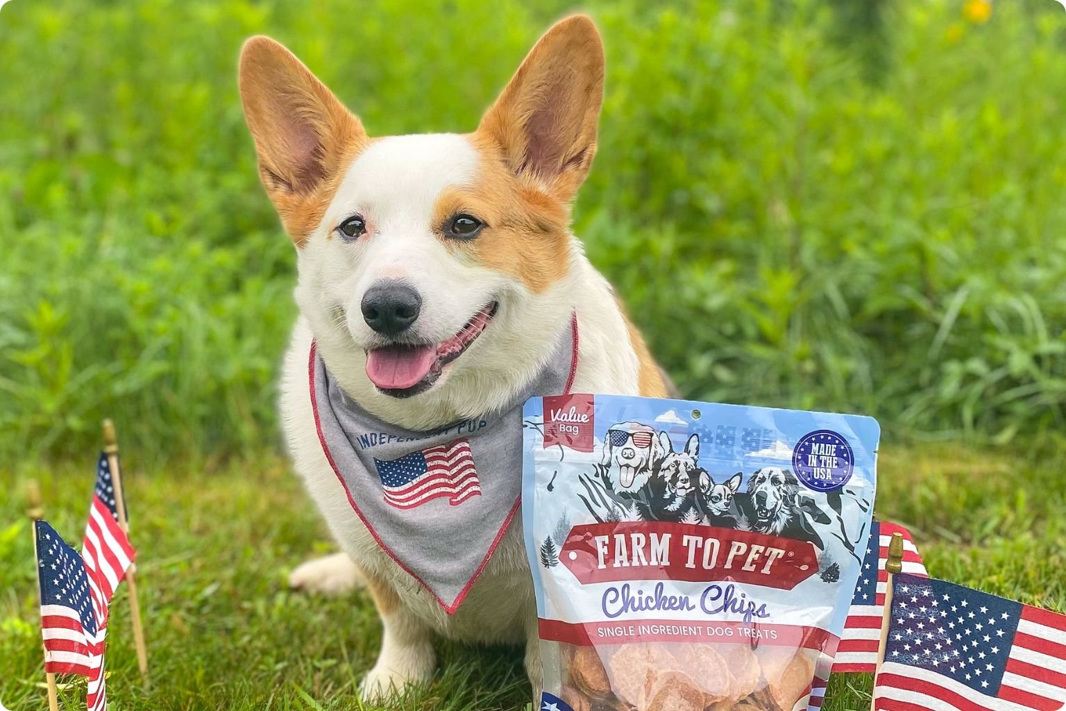 A corgi dog with a bag of Farm to Pet Americana chicken chips and US flags