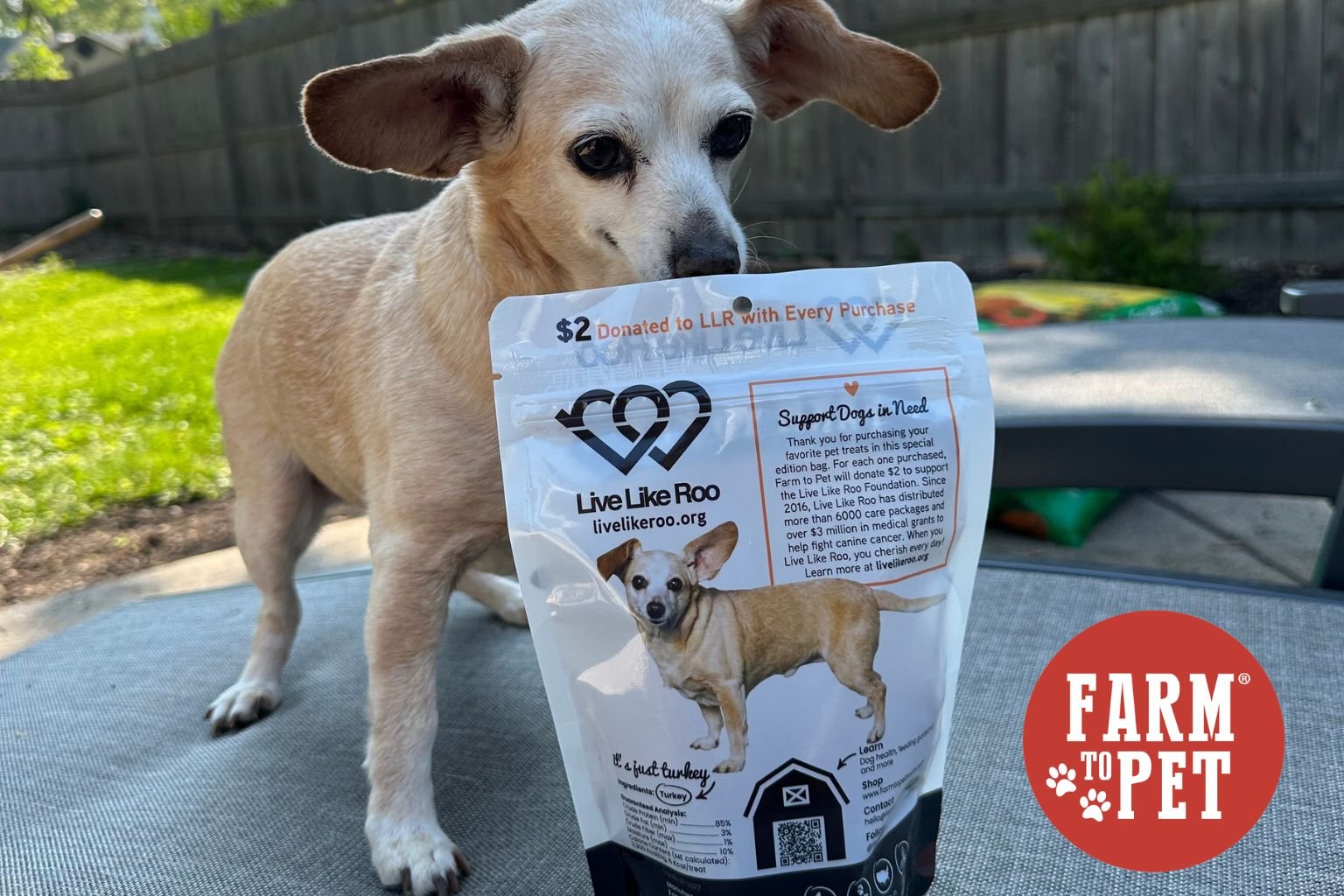 Treats that give back from Farm to Pet