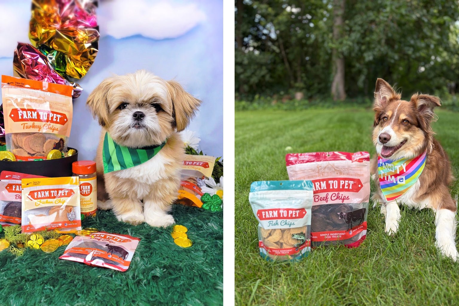 a dog with a St Patricks Day scarf and another lying on the grass, both with Farm to Pet treat bags
